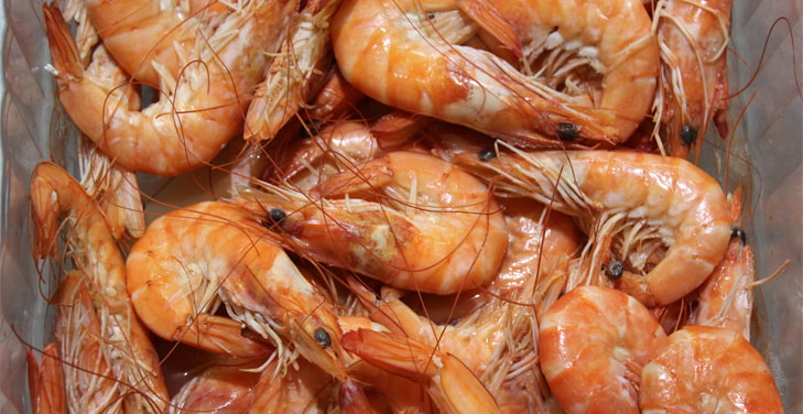 Is-boiled-shrimp-good-for-diabetics