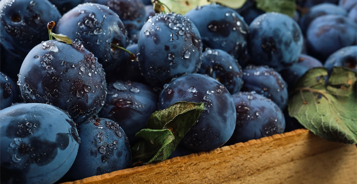 Are-prunes-good-for-diabetics