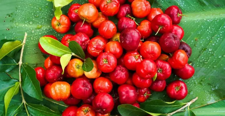 Acerola