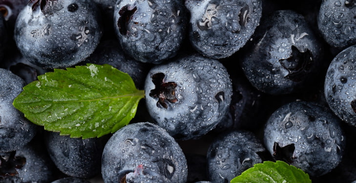 Blueberries Blueberries