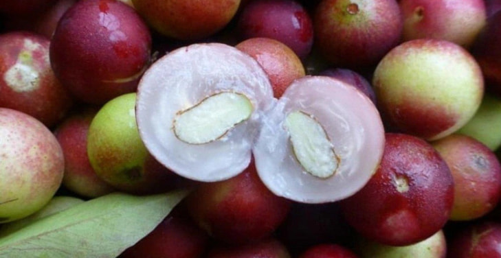 Camu-Camu Camu-Camu