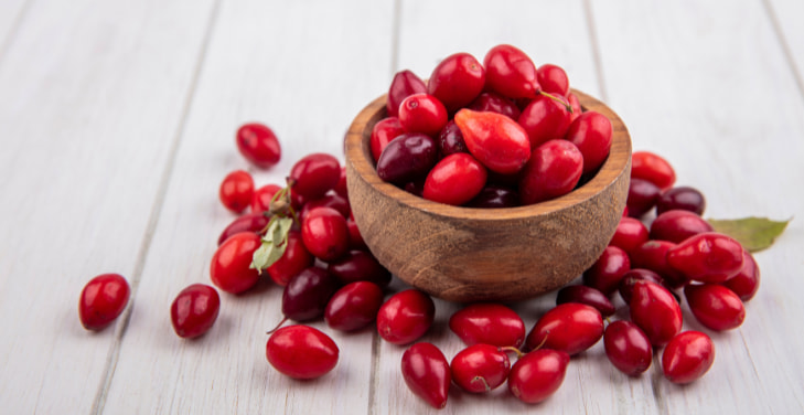 Cranberry-Extract Cranberry-Extract