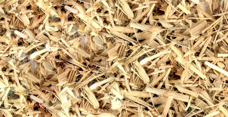Eleuthero-Root Eleuthero-Root