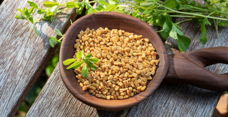 Fenugreek Fenugreek