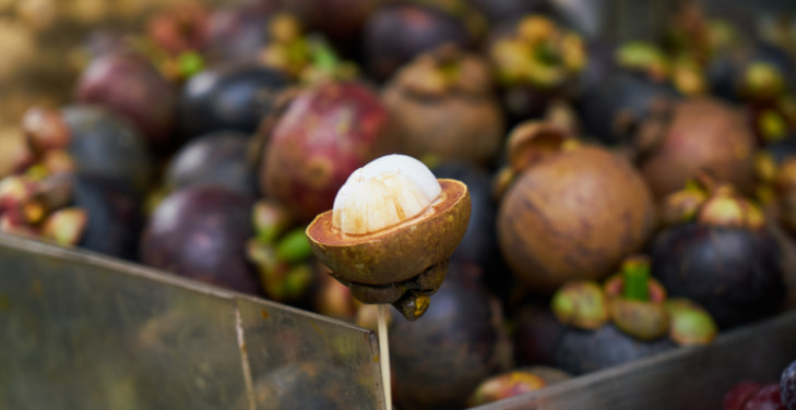 Mangosteen