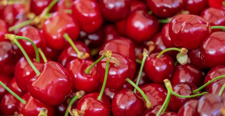 Red-Tart-Cherry-Extract Red-Tart-Cherry-Extract