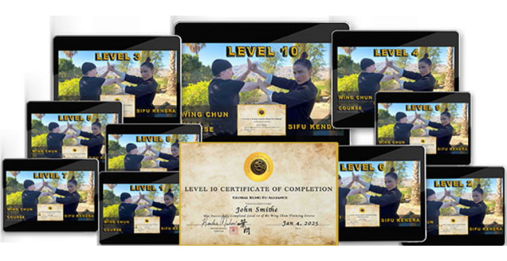 Wing-Chun-Kung-Fu-Online-Training-Course-Reviews Wing-Chun-Kung-Fu-Online-Training-Course-Reviews