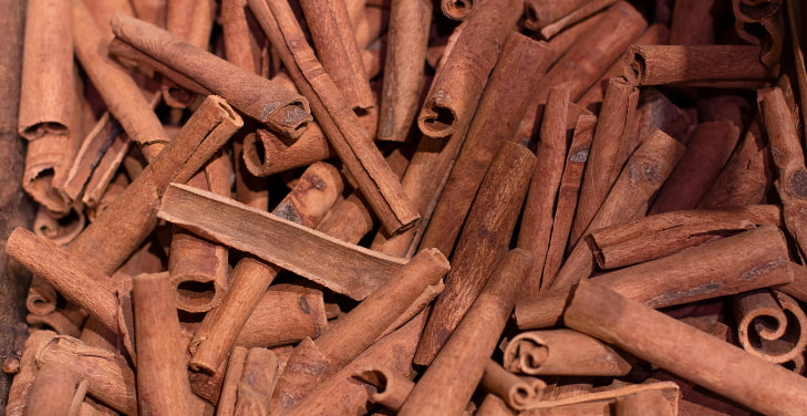cinnamon-bark