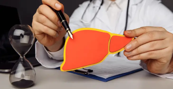 describe-the-role-of-the-liver-in-the-human-body describe-the-role-of-the-liver-in-the-human-body