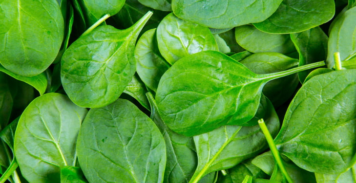 spinach (1) spinach (1)
