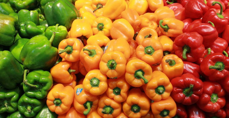 Capsicum-Annuum