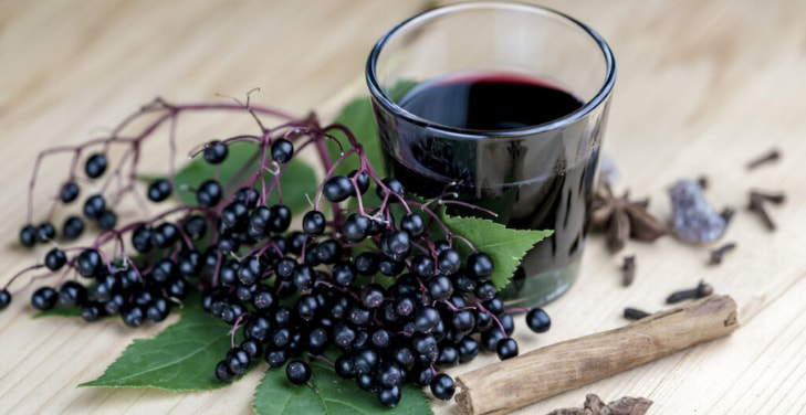 Elderberry-Extract