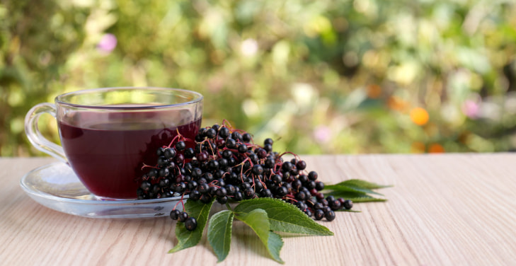 Elderberry-Tea-and-Elderflower Elderberry-Tea-and-Elderflower