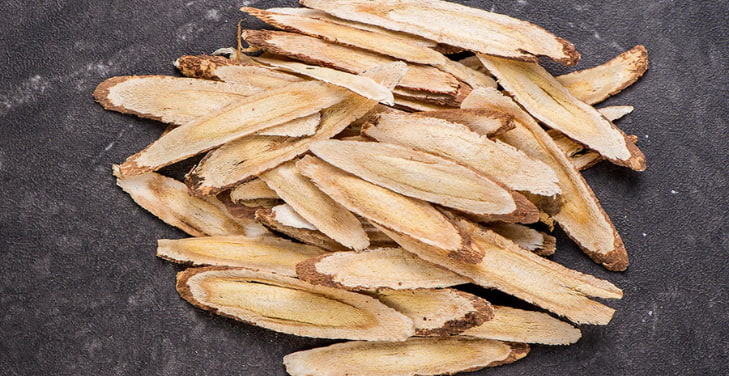 astragalus-root astragalus-root