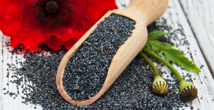 are-poppy-seeds-good-for- you