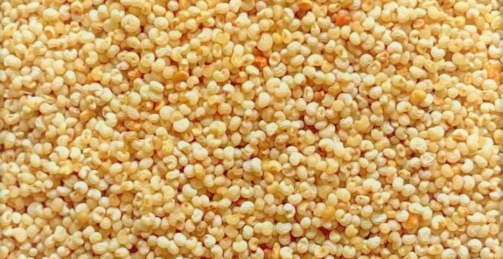 khas-khas-seeds khas-khas-seeds