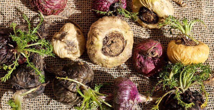 maca-root-dangers-side-effects maca-root-dangers-side-effects