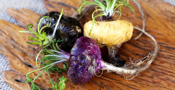 maca-root-pros-and- cons maca-root-pros-and- cons