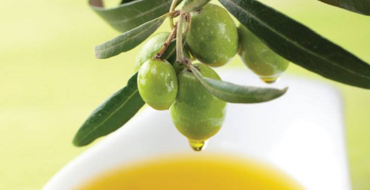 olive-leaf-extract