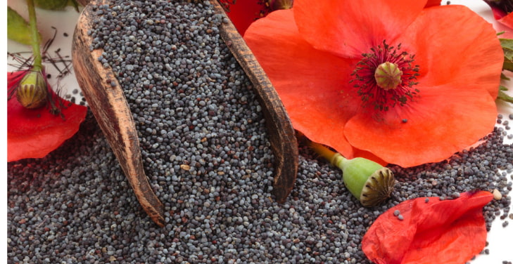 poppy-seeds-benefits poppy-seeds-benefits