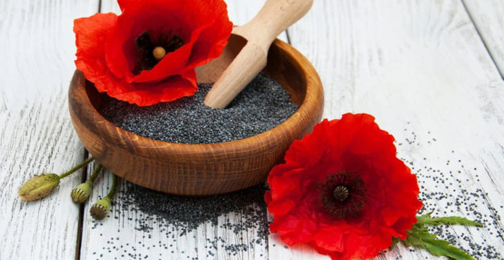 poppy-seeds poppy-seeds