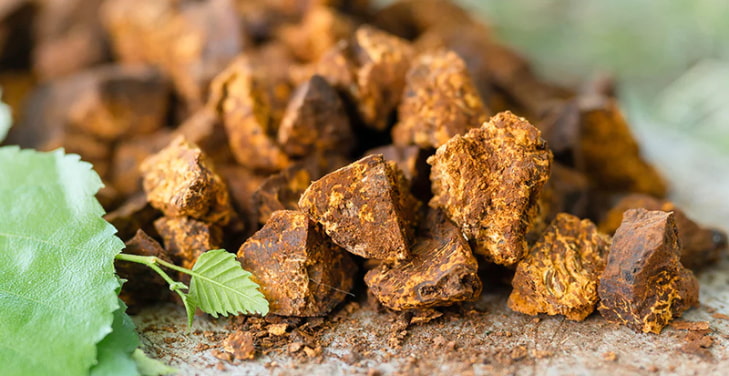 chaga-mushroom-benefits