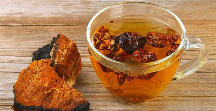chaga-tea