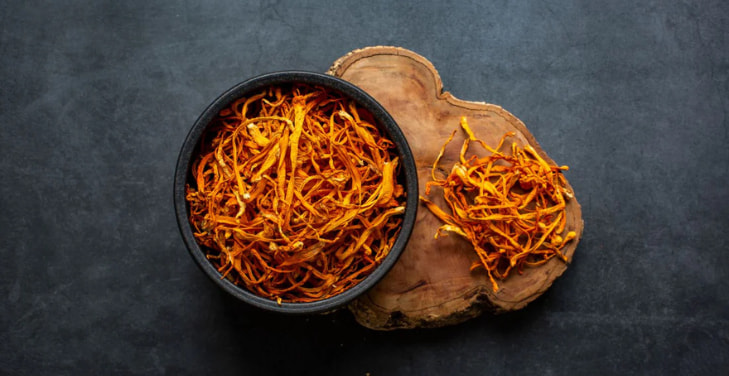 cordyceps-mushroom-benefits