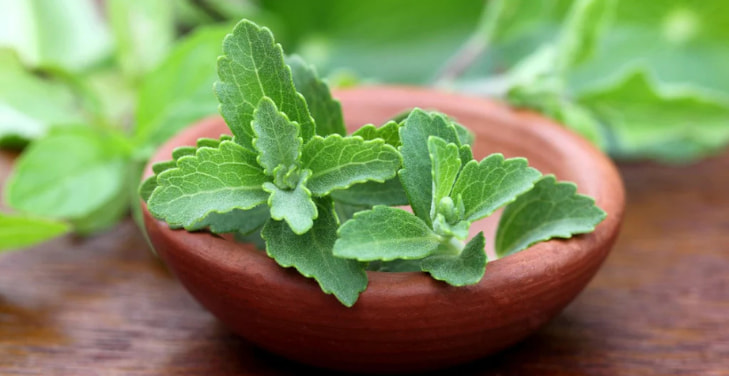 stevia-benefits