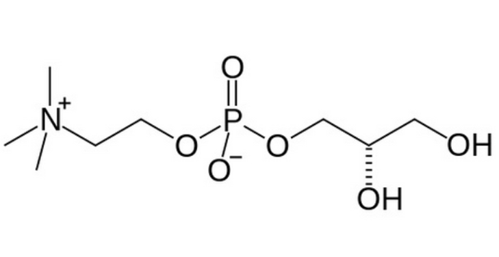 alpha-gpc-side-effects