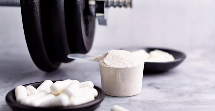 creatine-and-kidney-function