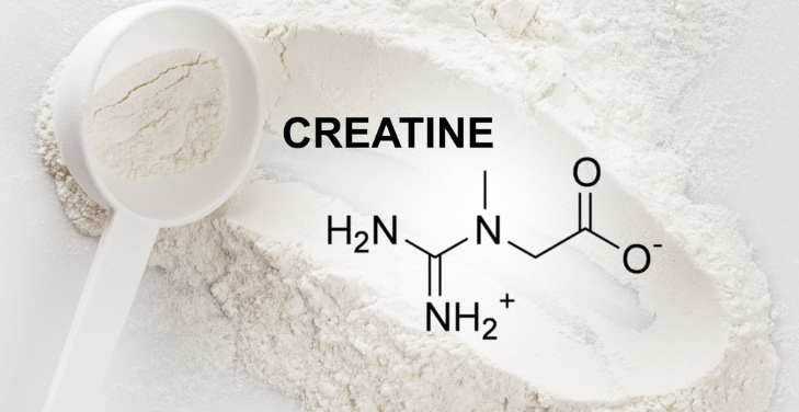 how-does-creatine-work