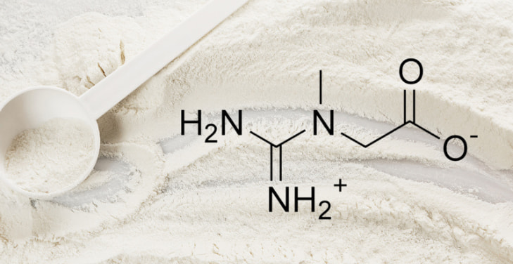 how-much-creatine-should-i-take-daily