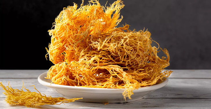 sea-moss-dangers