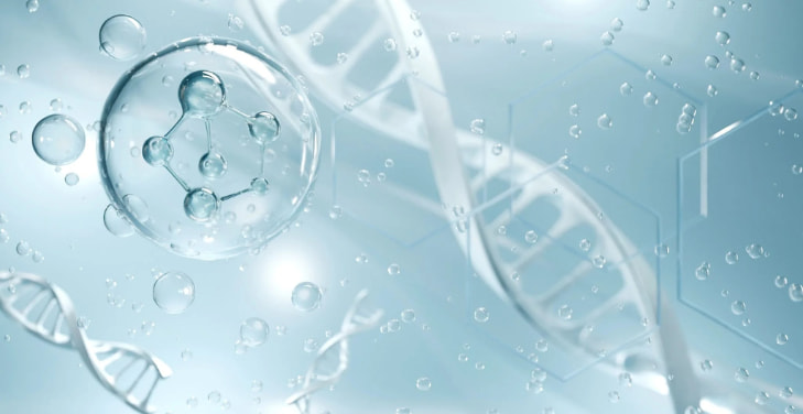 bovine-collagen-peptides