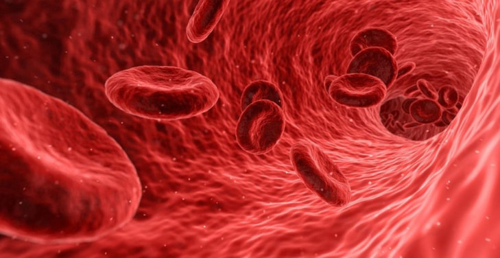 high-ferritin-levels-in-women high-ferritin-levels-in-women
