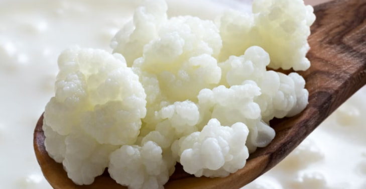 kefir