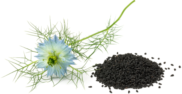 oil-of-oregano-with-black-seed-oil
