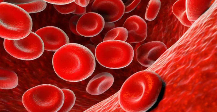 what-are-the-symptoms-of-dangerously-high-ferritin-levels