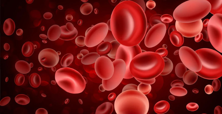 what-causes-high-ferritin-levels