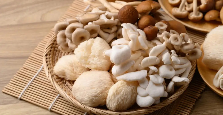 how-to-cook-lions-mane-mushrooms