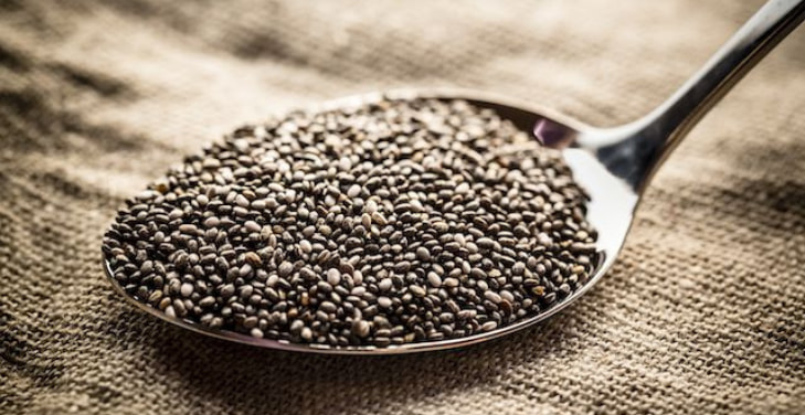 protein-in-chia-seeds