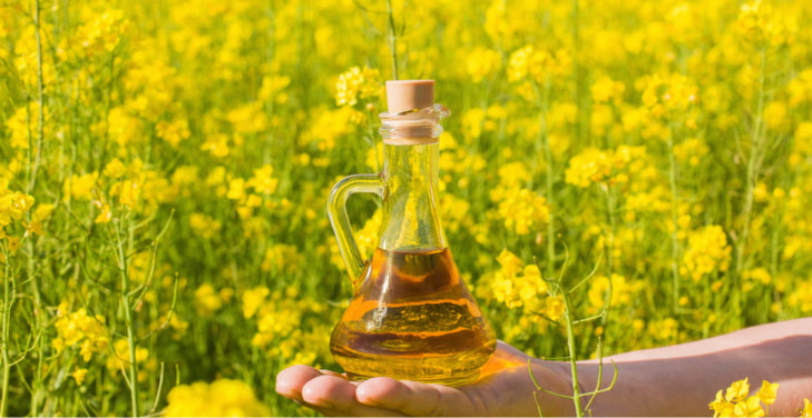 canola-oil