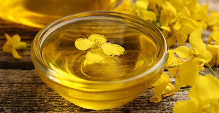 rapeseed-oil-dangers rapeseed-oil-dangers