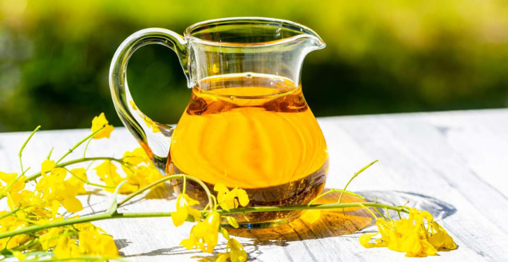 rapeseed-oil-good-or-bad rapeseed-oil-good-or-bad