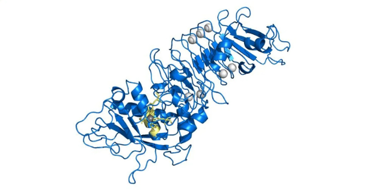 serrapeptase-dangers