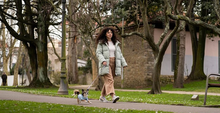 why-slow-walks-feel-different