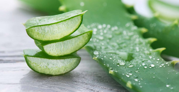 aloe-vera-benefits-for-women