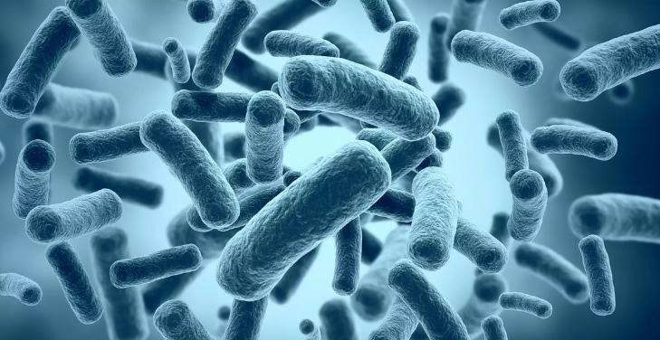 akkermansia-pros-and-cons akkermansia-pros-and-cons