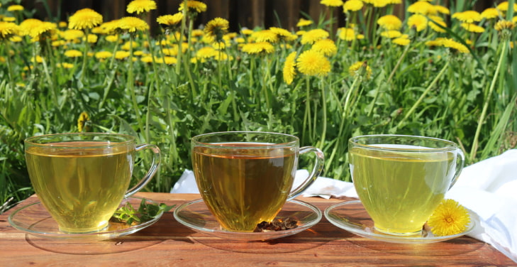 dandelion-tea-dangers